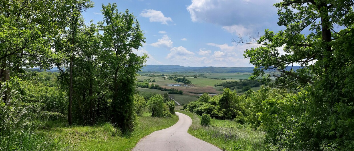 Naturpark Rosalia-Kogelberg - barrierefreier Eulenweg
