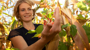 Landwirtin Michaela Summer im Käferbohnenfeld