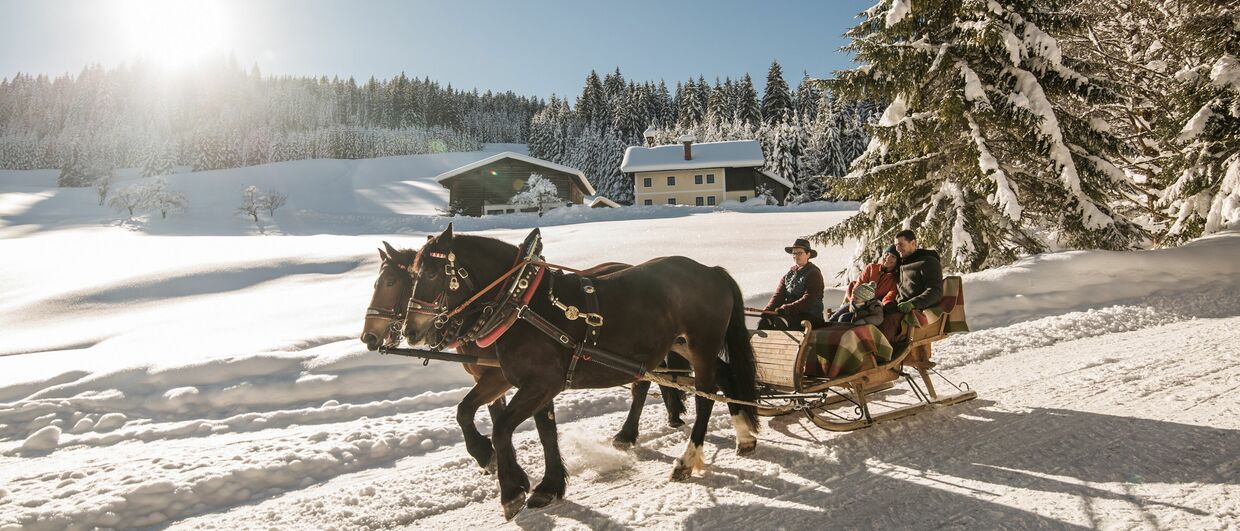 Sonnig: Im Pferdeschlitten durch den Nationalpark Hohe Tauern