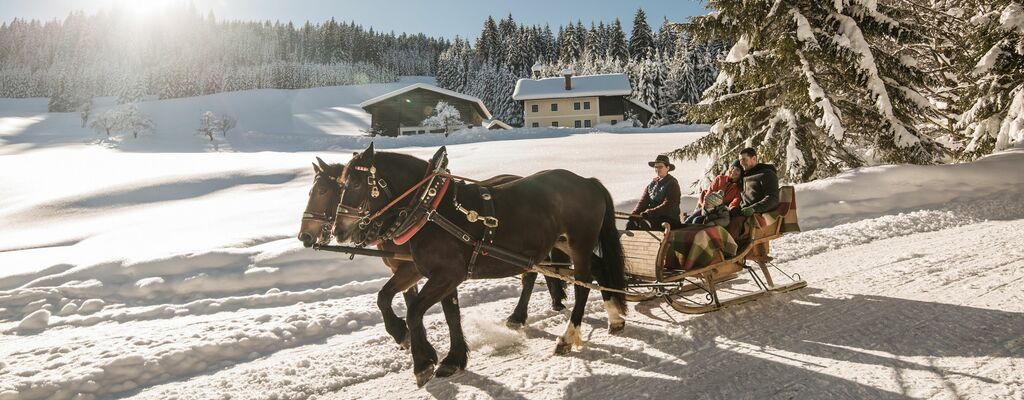Sonnig: Im Pferdeschlitten durch den Nationalpark Hohe Tauern