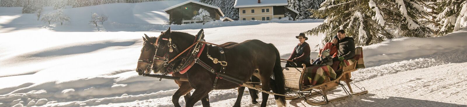 Sonnig: Im Pferdeschlitten durch den Nationalpark Hohe Tauern