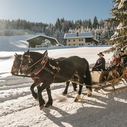 Sonnig: Im Pferdeschlitten durch den Nationalpark Hohe Tauern