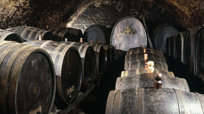 Бочки в винном погребе