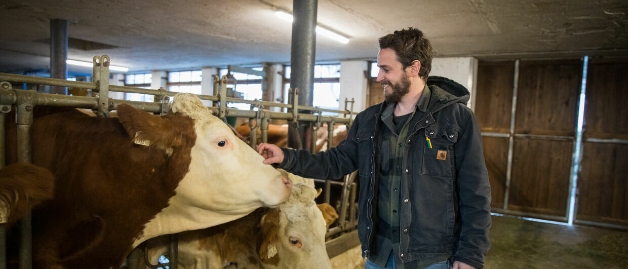 Milchbuben Tiroler Meisterkäserei