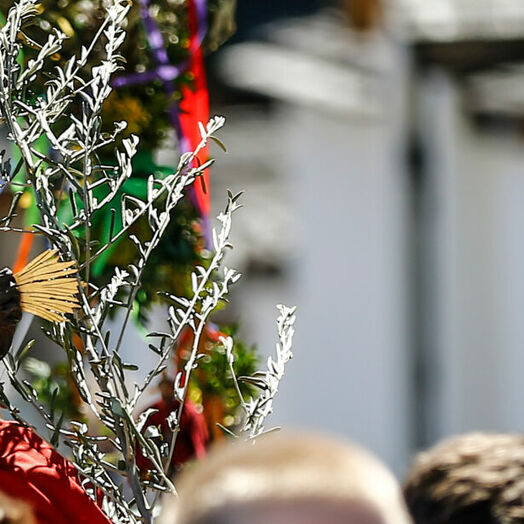 Palmeselprozession in Thaur in Tirol